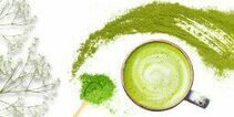 Matcha Powder